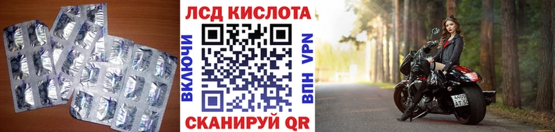 Купить где  Волхов  LSD-25 экстази кислота 