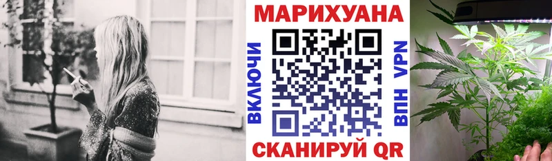 Купить закладки  Волхов  Каннабис OG Kush 